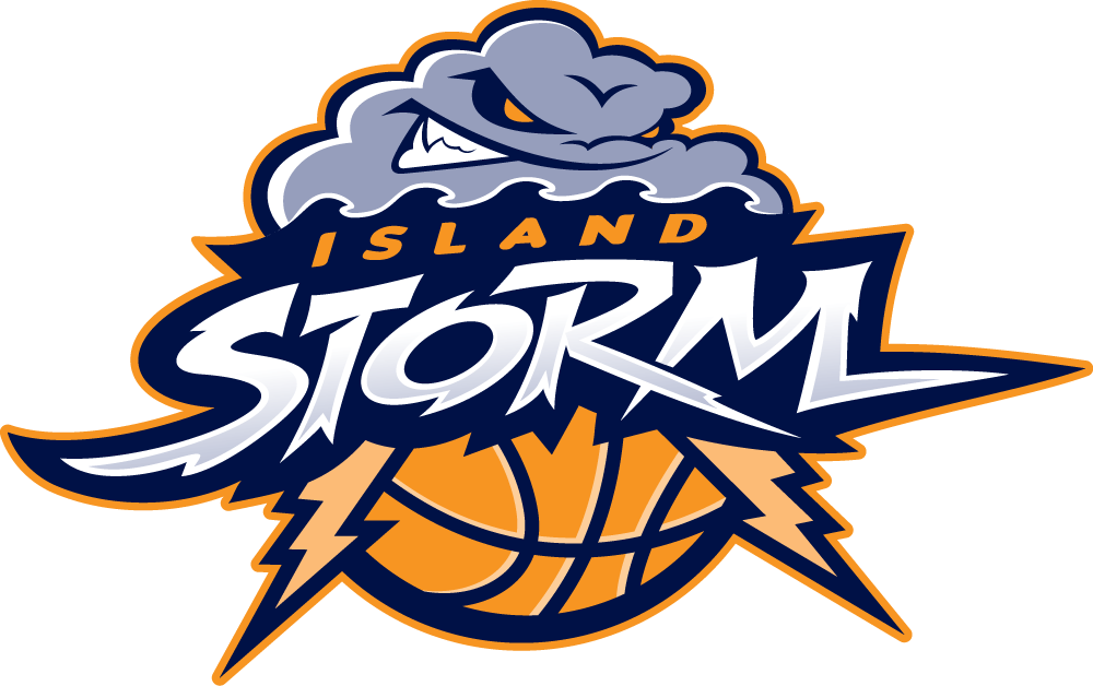 Island Storm 2013-Pres Primary Logo vinyl decal